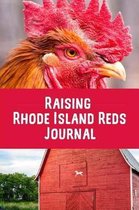 Raising Rhode Island Reds Journal