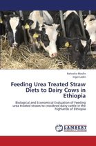 Feeding Urea Treated Straw Diets to Dairy Cows in Ethiopia