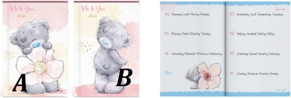 Me to You beer mini agenda 2021 - 8.2 x 12.2 cm klein formaat - lannoo -  beer - bloem | bol.com