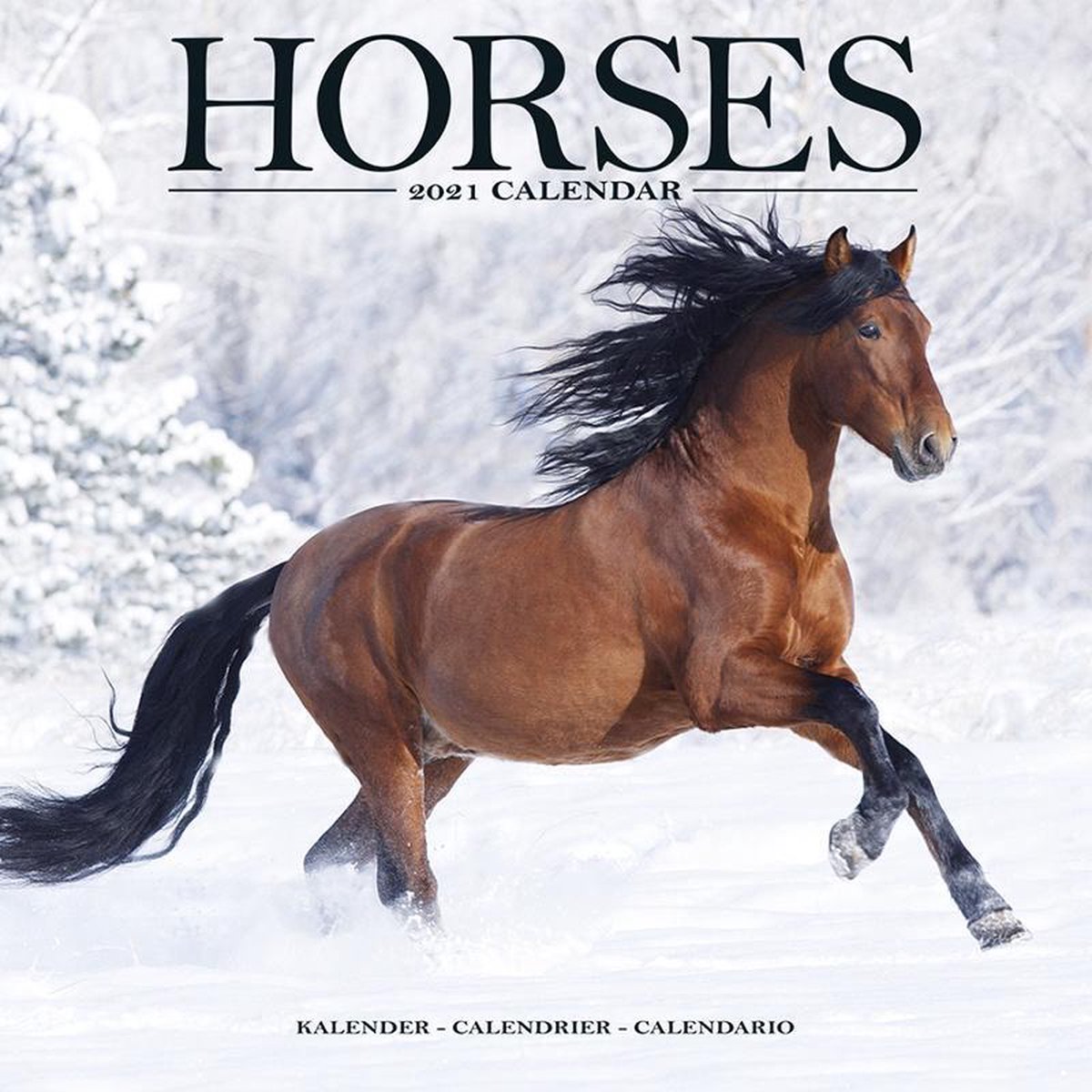 Paarden Kalender 2021