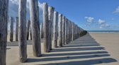 Fotobehang Burgh Haamstede palen op het strand 350 x 260 cm