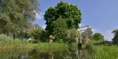 Fotobehang bruggetje bij het Naardermeer 350 x 260 cm