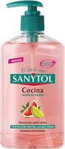 Handzeep met dispenser Antibacterias Kitchen Sanytol 280120 (250 ml) 250 ml