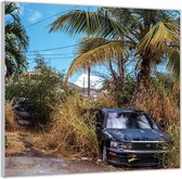 Plexiglas –Kapotte Auto tussen Planten en Bomen– 50x50 (Wanddecoratie op Plexiglas)