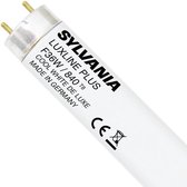Sylvania T8 Luxline Plus F36W 840 | 97cm - Koel Wit