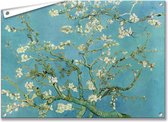 Tuinposter/Tuindoek  Amandelbloesem - Vincent van Gogh - 90x60 cm