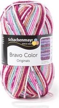 Schachenmayr Bravo Color 50 Gram - 2086