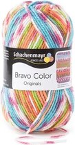 Schachenmayr Bravo Color 50 Gram - 2081