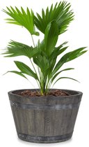 Waldbeck Winegrow plantenbak 68 liter - 52,5 x 31,5 cm (ØxH) - UV- & vorstresistent- Weerbestendig - licht fibreclay grijs