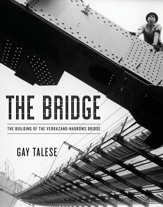 Omslag van The Bridge