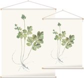 Muskuskruid (Moschatel) - Foto op Textielposter - 45 x 60 cm