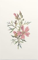 Muskuskaasjeskruid (Musk Mallow) - Foto op Forex - 60 x 90 cm