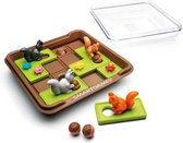 Smart Games Squirrels Go Nuts