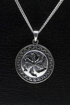 Zilveren Dolfijnen ketting hanger - rond