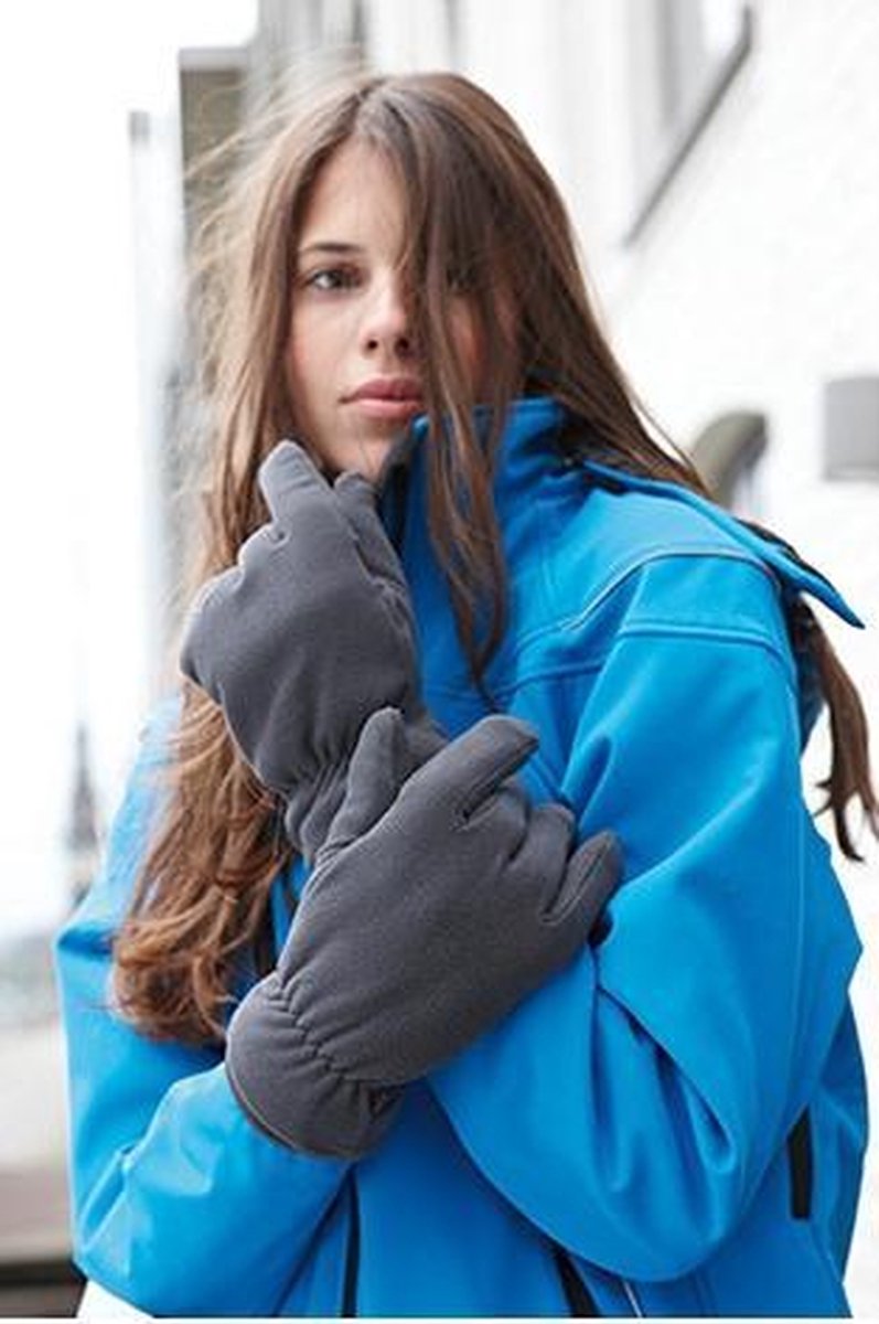 Thinsulate Fleece Handschoenen - Maat L/XL - Donkergrijs