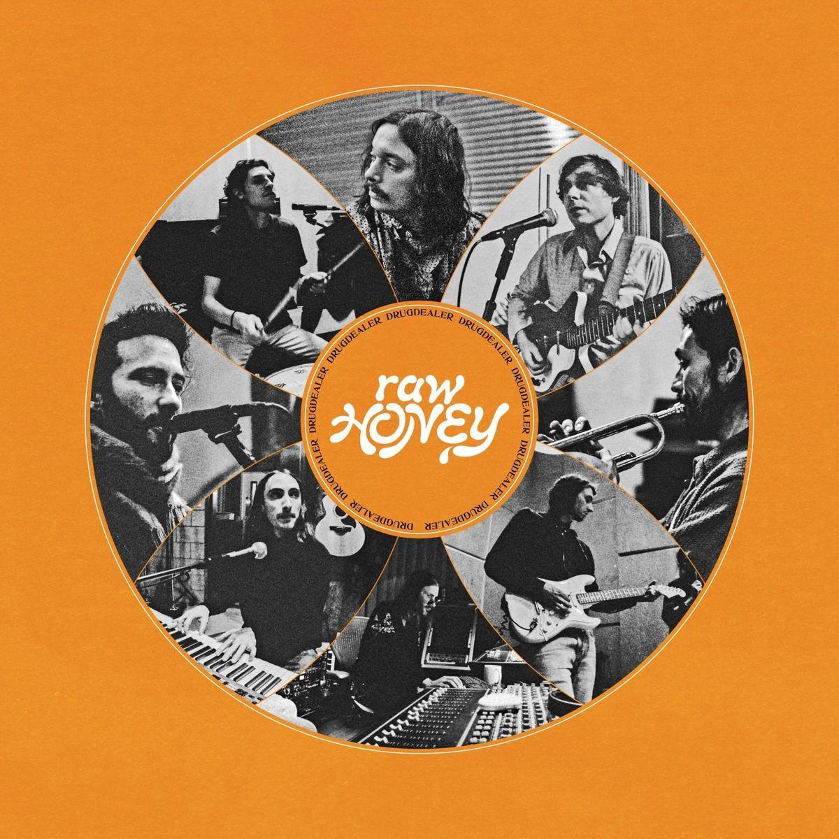 Drugdealer - Raw Honey (CD)
