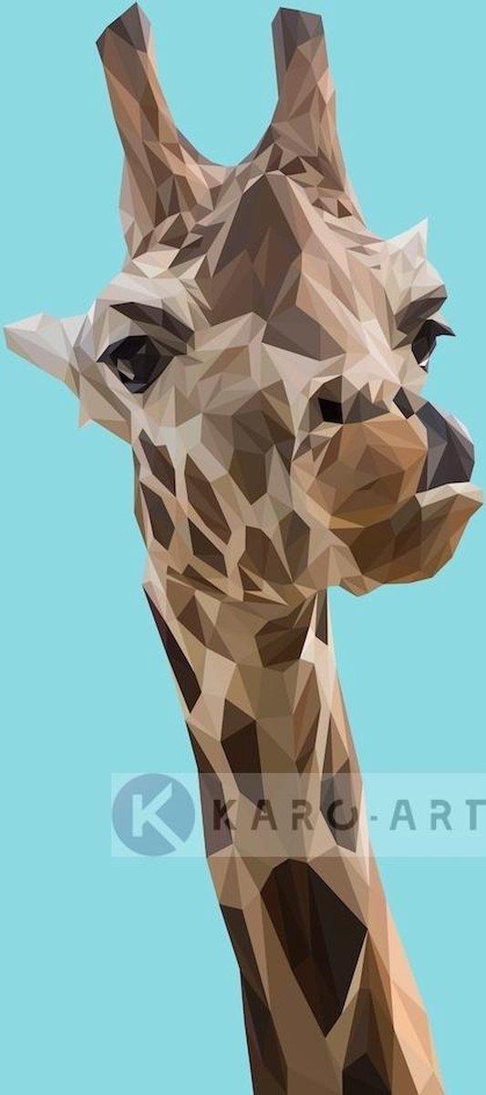 karo-art Afbeelding op acrylglas - Giraf, digitaal Multikleur