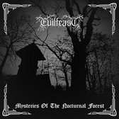 Mysteries Of The Nocturnal Forest