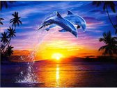 Diamond Painting Ondergaande zon en dolfijnen 50x65cm. (Volledige bedekking - Vierkante steentjes) diamondpainting inclusief tools