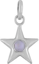 Jewelryz Asha Edelsteen Hanger | 925 sterling zilver met maansteen | 25 mm