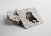 Hond Labrador bruin | Houten Onderzetters 6 Stuks