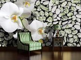 Flowers Orchids Stones Photo Wallcovering