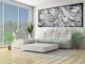 Floral Abstract Silver Grey Black Photo Wallcovering