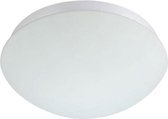 LED Plafondlamp met Bewegingssensor - 360° Sensor - E27 Fitting - Opbouw - Ovaal - Mat Wit - Glas - BES LED