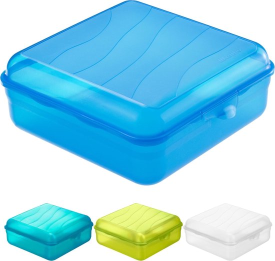 ernstig tijdelijk Expliciet Rotho lunchbox FUN 2,35 l (20 x 20 x 8 cm) transparant 2350 ml | bol.com