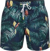 WE Fashion Heren zwembroek met dessin - Maat L