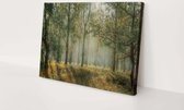 Zonnestralen in het bos | 150 x 100 CM | Canvasdoek voor buiten | Schilderij | Outdoor | Tuindoek