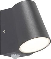 QAZQA Uma - Moderne LED Buitenlamp met Bewegingsmelder | Bewegingssensor | sensor voor buiten - 1 lichts - D 120 mm - Antraciet - Buitenverlichting