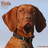 Vizslas Kalender 2022