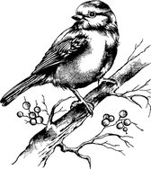 Bluebird and Branch with Berries Unmounted Rubber Stamps (CI-505)