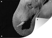 Tuinposter - Tuindoek - Tuinposters buiten - Close-up portret van een olifant op een zwarte achtergrond - zwart wit - 120x90 cm - Tuin