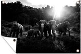 Tuindecoratie Olifanten in jungle - zwart wit - 60x40 cm - Tuinposter - Tuindoek - Buitenposter
