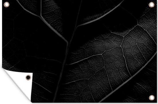 Tuinposter - Tuindoek - Tuinposters buiten - Schaduwen over een blad - zwart wit - 120x80 cm - Tuin