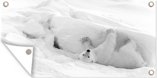 Wanddecoratie buiten Speels rollende ijsbeer in de sneeuw - zwart wit - 160x80 cm - Tuindoek - Buitenposter