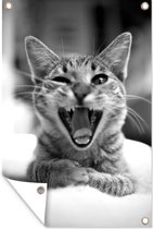 Posters de jardin extérieur Chat béant de près - noir et blanc - 60x90 cm - Toile jardin - Affiche extérieur