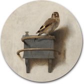 Wandcirkel Het Puttertje - WallCatcher | Kunststof 80 cm | Meesterwerk van Carel Fabritius | Ronde kunstwerken en schilderijen | Wanddecoratie wooncirkel | Muurcirkel Oude Meesters