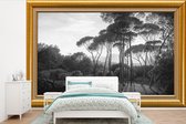 Behang - Fotobehang Italiaans landschap parasoldennen - Hendrik Voogd - Lijst - Goud - Breedte 450 cm x hoogte 300 cm