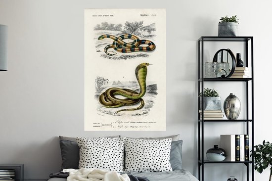 Stickers muraux - Serpent - Vintage - Reptiles - 80x120 cm - Film Adhésif