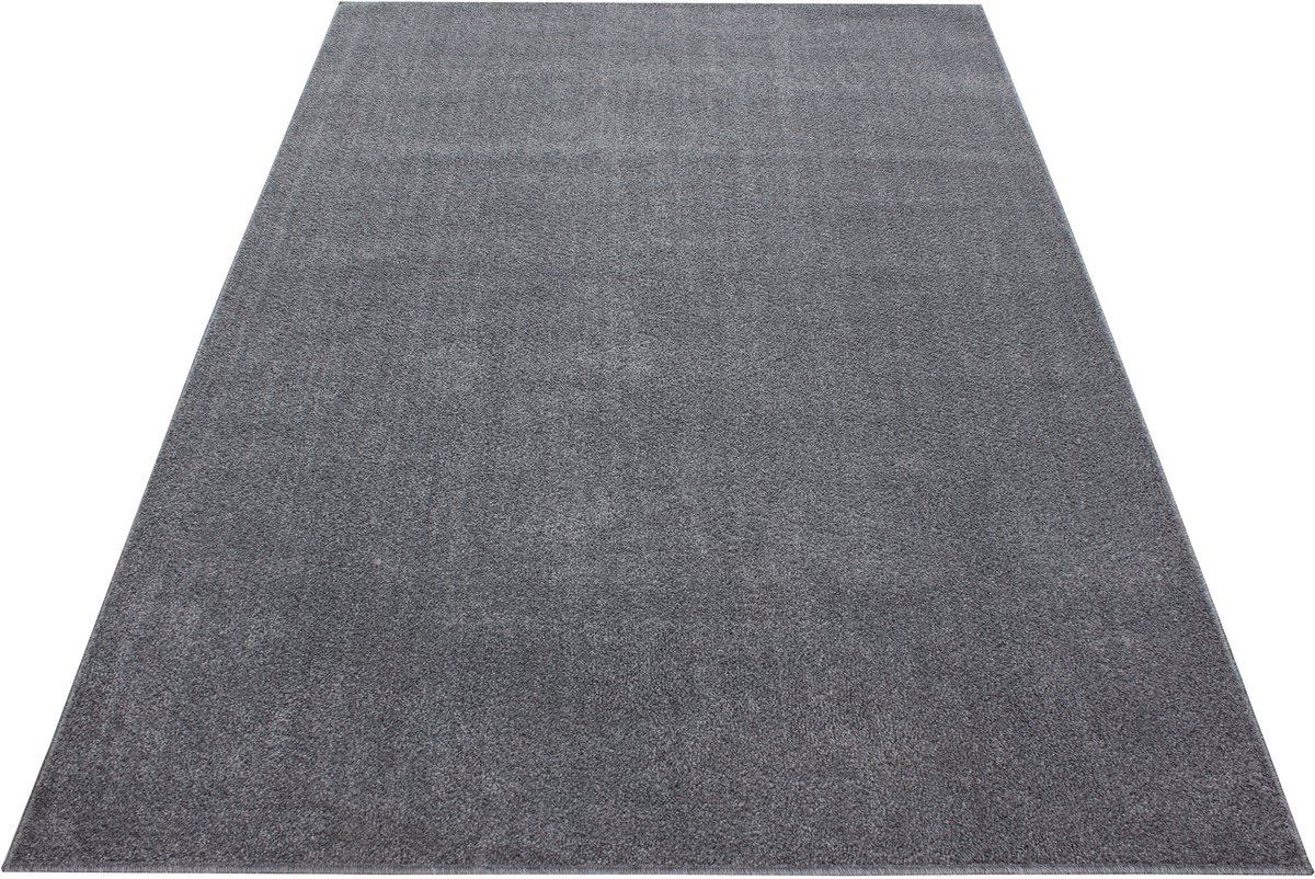 Laagpolig vloerkleed Ata - lichtgrijs - 120x170 cm