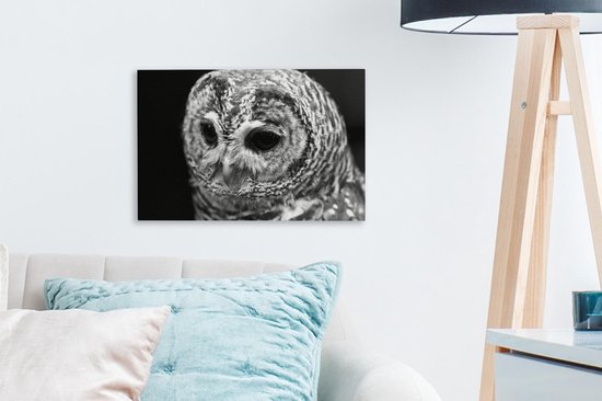 Peinture sur toile Chouette hulotte sur fond noir - noir et blanc - 30x20 cm - Décoration murale