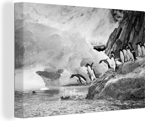Canvas Schilderij Pinguïns op Antarctica duiken het water in - zwart wit - 120x80 cm - Wanddecoratie