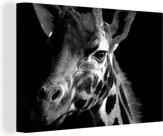 Canvas Schilderij Giraffe op zwarte achtergrond - zwart wit - Wanddecoratie