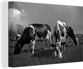 Canvas Schilderij Kudde grazende koeien - zwart wit - 90x60 cm - Wanddecoratie