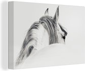 Peintures sur toile Cheval - Wit - Animal - 180x120 cm - Décoration murale XXL