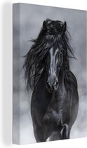 Canvas Schilderij Paard - Grijs - Zwart - 40x60 cm - Wanddecoratie