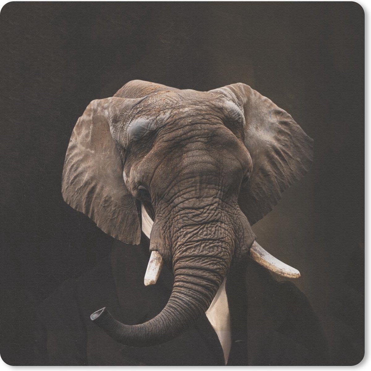 Muismat 30x30 cm - Mousepad Portret - Olifant - Kunst - Muismatten